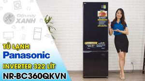 panasonic-nr-bc360qkvn-223820-093815_2db7cd0014b54957ac7e9a9c95df7cf4.jpg