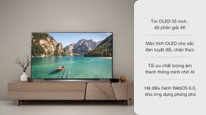 vi-vn-oled-lg-55c1ptb_ed512f19415548c2b2568ae781dcd78d.jpg