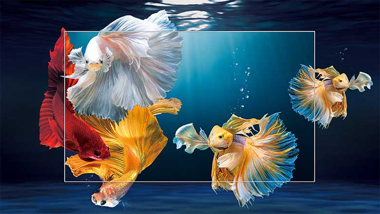 Tính năng 4K HDR TCL 55 inch 55P715