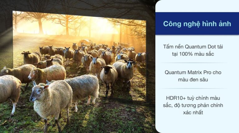 vi-vn-neo-qled-8k-samsung-qa65qn900a-150421-0352552_3d2af68680ca4eac9aeaa422ba059570.jpeg